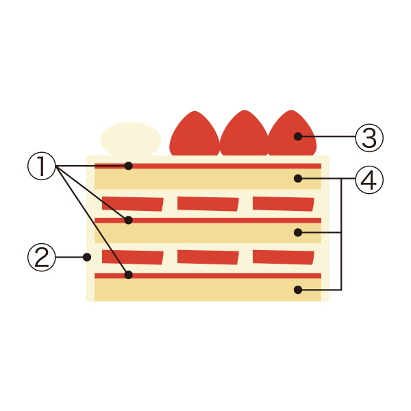 ޗǓXy1224()Az22.qZgWXzerNX}XV[gP[L