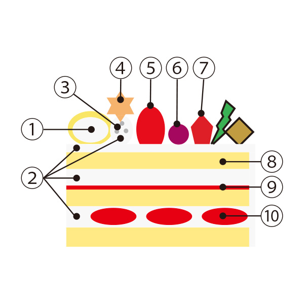 ޗǓXy1224()Az29.qpeBX[ VF[r{W[ImG 5