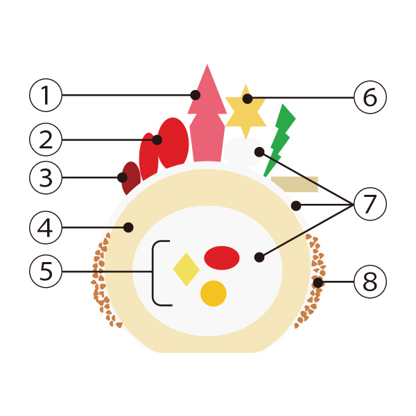 ׂ̃nJXߓS{Xy1224()Az30.qpeBX[ VF[rNX}XL[