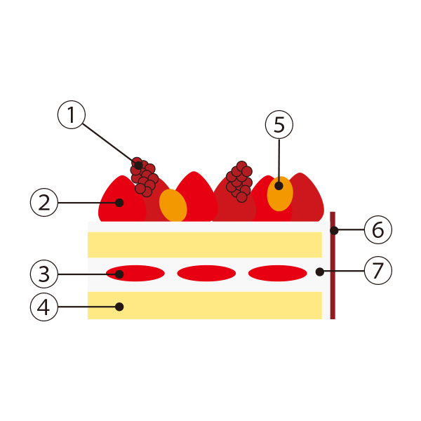 ׂ̃nJXߓS{Xy1224()Az31.qpeBX[ VF[rEOEt[YEmG