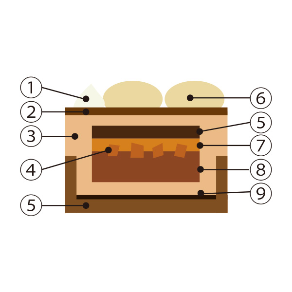 ׂ̃nJXߓS{Xy1224()Az36.qB^[rkEVR