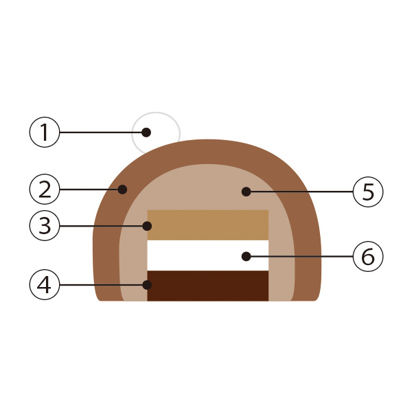 ׂ̃nJXߓS{Xy1224()Az37.qPgnEXrVRmG