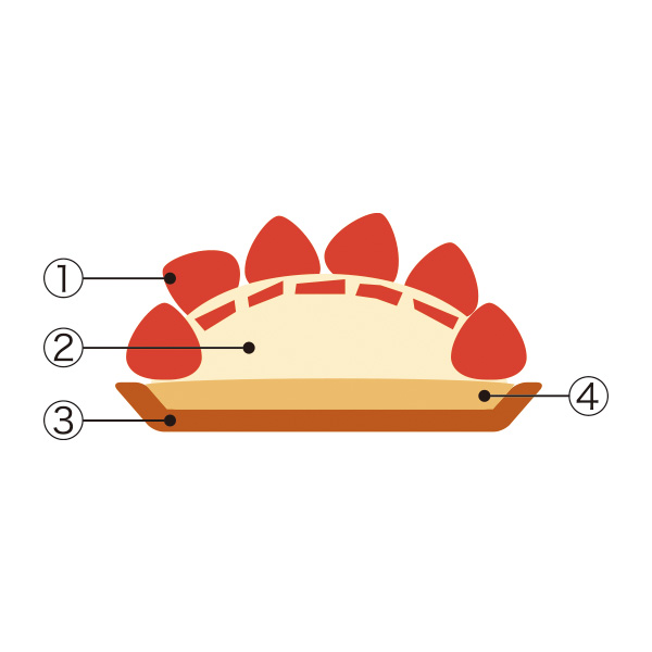 Xy1224()Az43.qnitrX'mas ̃^g