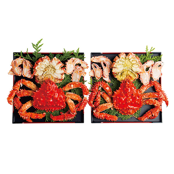 139.kCYŉԍ炪ɃJbg2