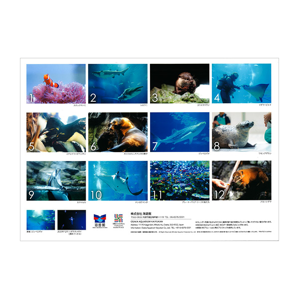 qCVفr2026NCVكIWiJ_[