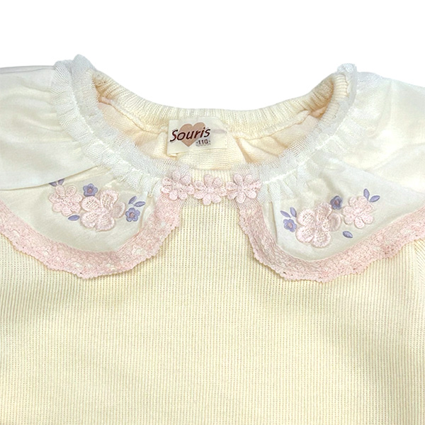 qX[[rׂ̃nJXTVc@AC{[×sN