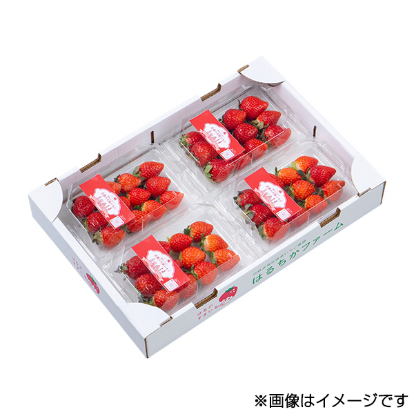 ���q��ア�����r�͂邩���܂��� �����@250g×4�p�b�N