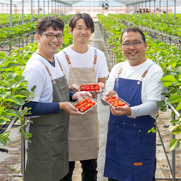 ���q��ア�����r�͂邩���܂��� �嗱�@250g×4�p�b�N