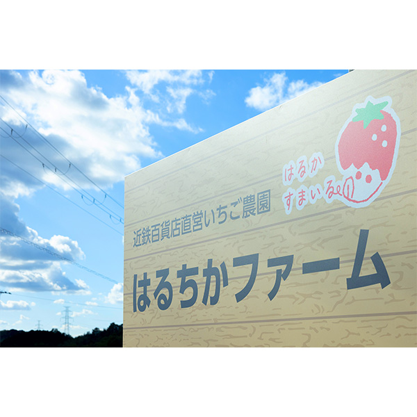 ���q��ア�����r�͂邩���܂��� �嗱�@250g×4�p�b�N