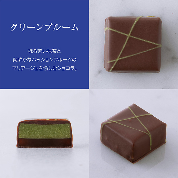 246���qRespirer / ���X�s���r�V���R���A�\�[�g�u�u -sou-�v(6��)