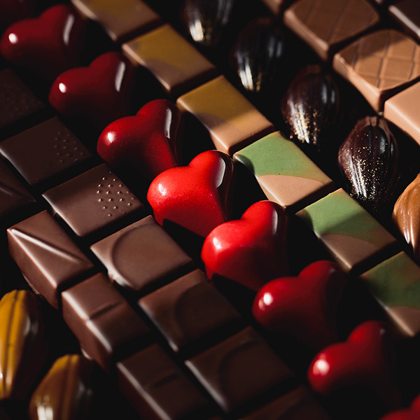 130�qCacaotier Gokan / �J�J�I�e�B�G �S�J���r�V���R���A�\�[�g8��