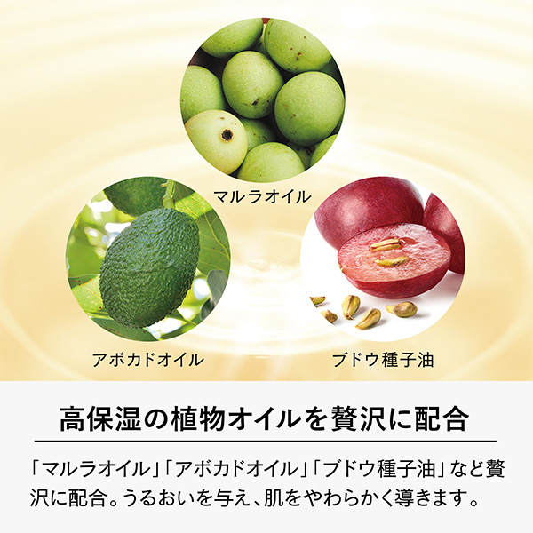 �q���@�[�`�F�r�{�f�B�P�A�I�C��