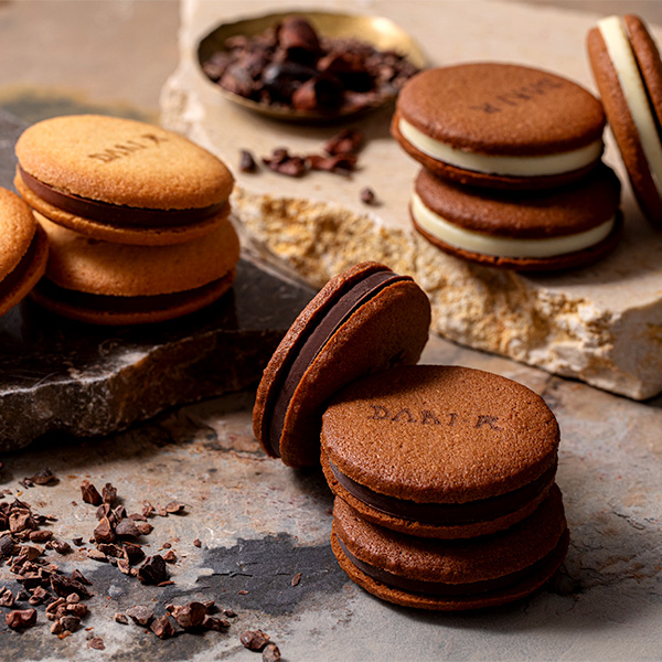 ���qdari K�r�J�J�I�T���h�N�b�L�[24����