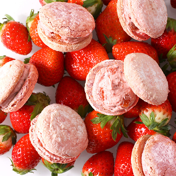 �q�A���e�m�[���r䕂̃N���[���T���h