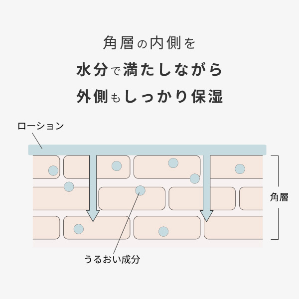 �qCHEF de BEAUTE/�V�F�t �h �{�[�e�rhadakiki���[�V���� KUMOGASANE