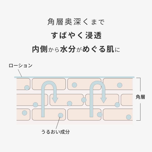 〈CHEF de BEAUTE/シェフ ド ボーテ〉hadakikiローション KOBOREYUKI