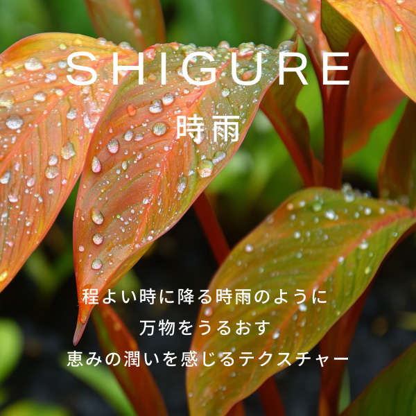 〈CHEF de BEAUTE/シェフ ド ボーテ〉hadakikiローション SHIGURE