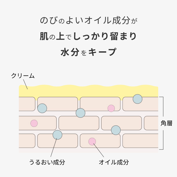 �qCHEF de BEAUTE/�V�F�t �h �{�[�e�rhadakiki�N���[�� YAEKASUMI