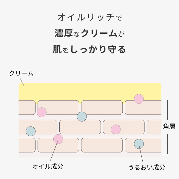 �qCHEF de BEAUTE/�V�F�t �h �{�[�e�rhadakiki�N���[�� HIAKARI