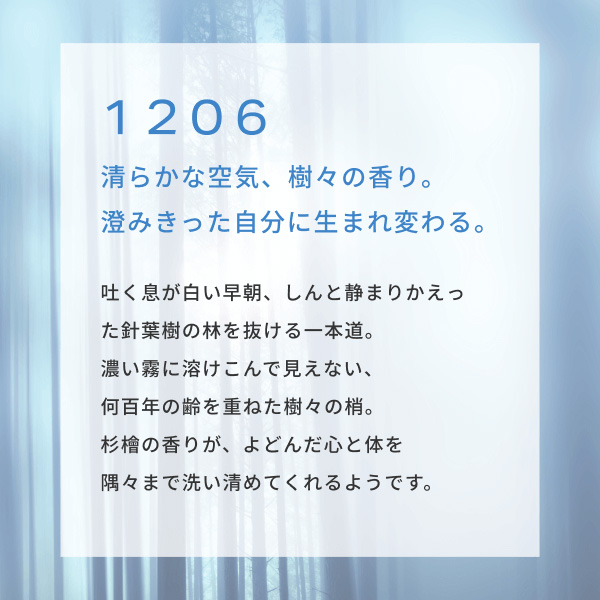 〈CHEF de BEAUTE/シェフ ド ボーテ〉スキンフレグランス1206