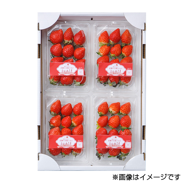 ���q�͂邩���܂���r��ア����(�g�ق���) �����@250g×4�p�b�N