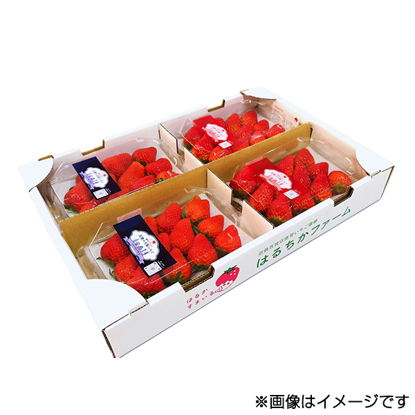 ○〈はるかすまいる〉大阪いちご 食べ比べ 250g×4パック