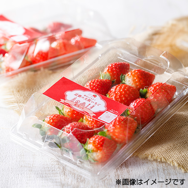 ○〈はるかすまいる〉大阪いちご 食べ比べ 250g×4パック