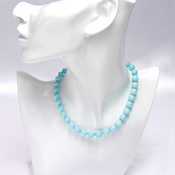 �q�Ŋ㍁�r�g���R�΃l�b�N���X