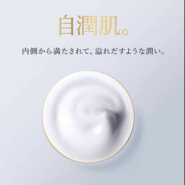 �q�G�X�e�B ���[�_�[�r�A�N�A �`���[�W ��p �~���L�[ �N���[��