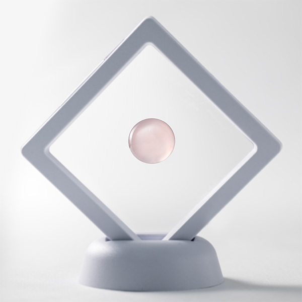 �q�Ŋ㍁�r���[�Y�N�H�[�c���[�X�y�ӕʏ��E���[�X���[�P�[�X�t�z