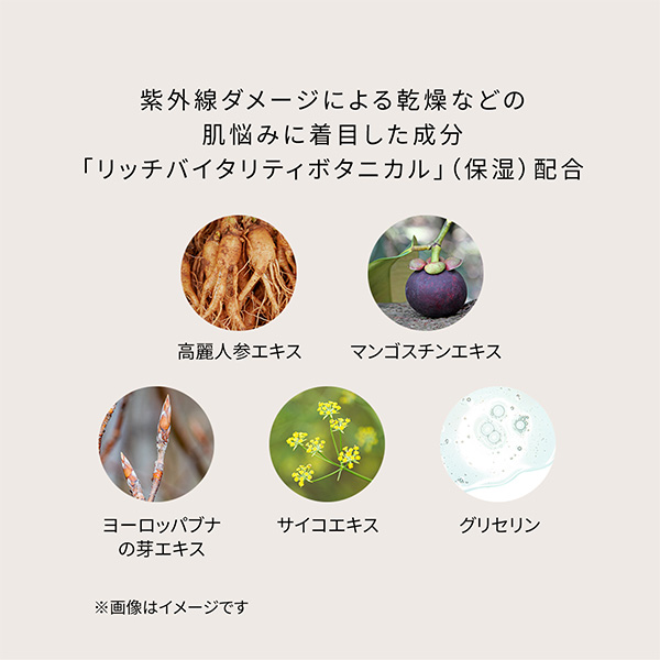 �q�N���E�h�E�|�[ �{�[�e�r�N���[���t�u ���L�b�g