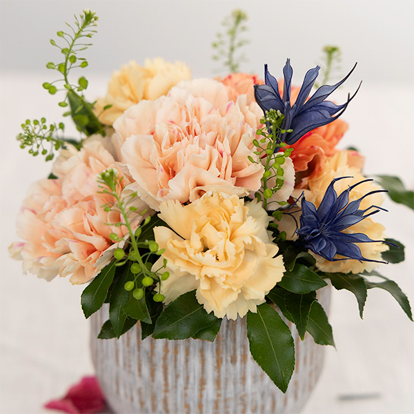 ●母の日〈hanna/ハンナ〉生花アレンジ「アプリコットハニーS」