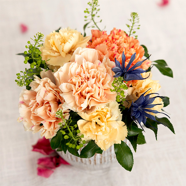 ●母の日〈hanna/ハンナ〉生花アレンジ「アプリコットハニーS」お菓子セット