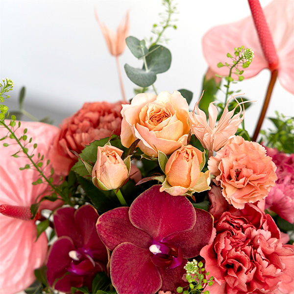 ●母の日〈hanna/ハンナ〉生花アレンジ「ハッピーベリーL」