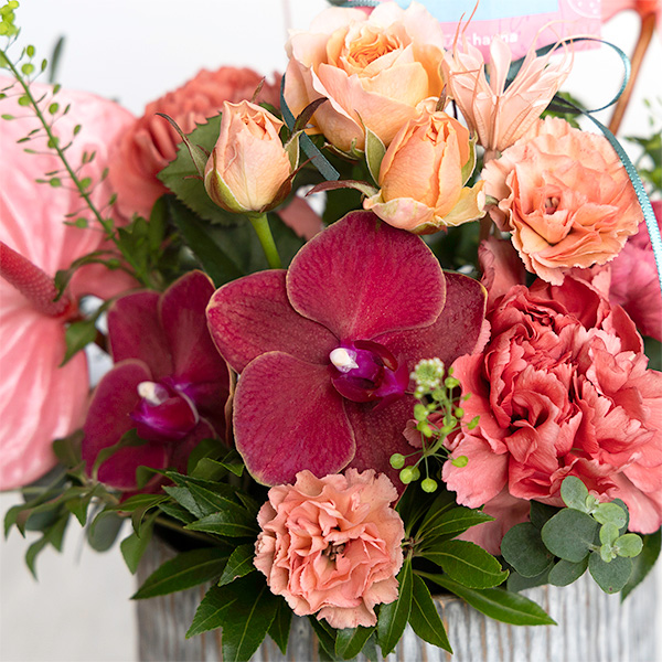 ●母の日〈hanna/ハンナ〉生花アレンジ「ハッピーベリーL」ハンドクリームセット