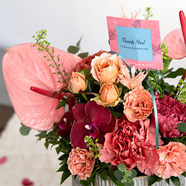 ����̓��qhanna/�n���i�r���ԃA�����W�u�n�b�s�[�x���[L�v���َq�Z�b�g