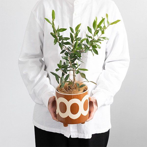 ����̓��qhanna/�n���i�r�����@�I���[�u