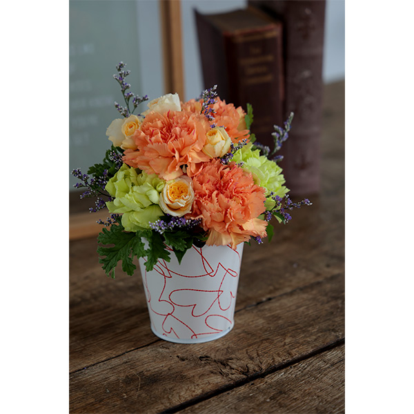 ����̓� �y5��10��(��)������z�qhanna/�n���i�r���ԃA�����W�u�x���v