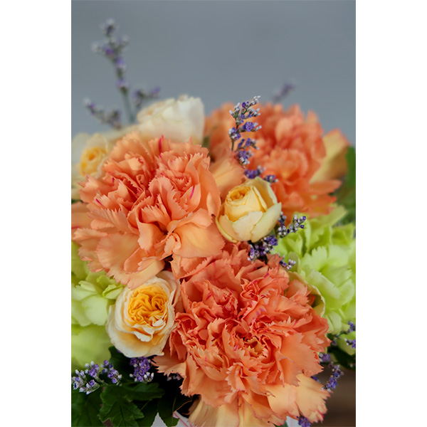 ����̓� �y5��10��(��)������z�qhanna/�n���i�r���ԃA�����W�u�x���v