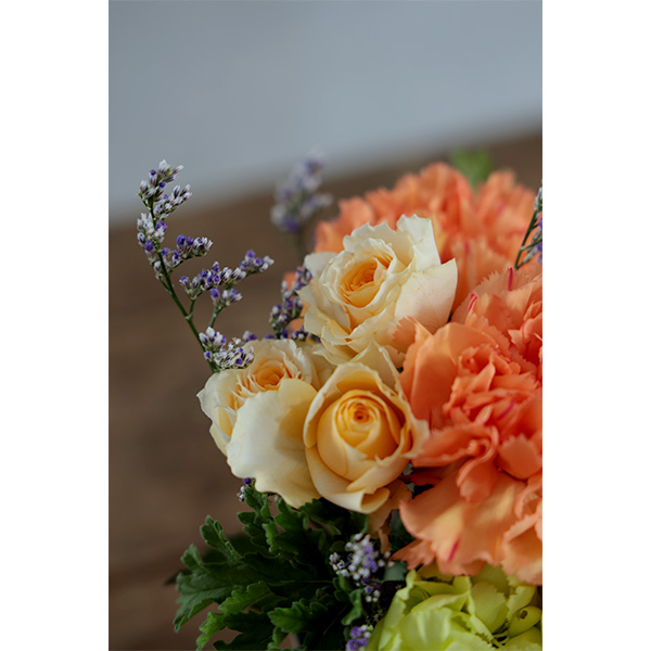 ����̓� �y5��10��(��)������z�qhanna/�n���i�r���ԃA�����W�u�x���v