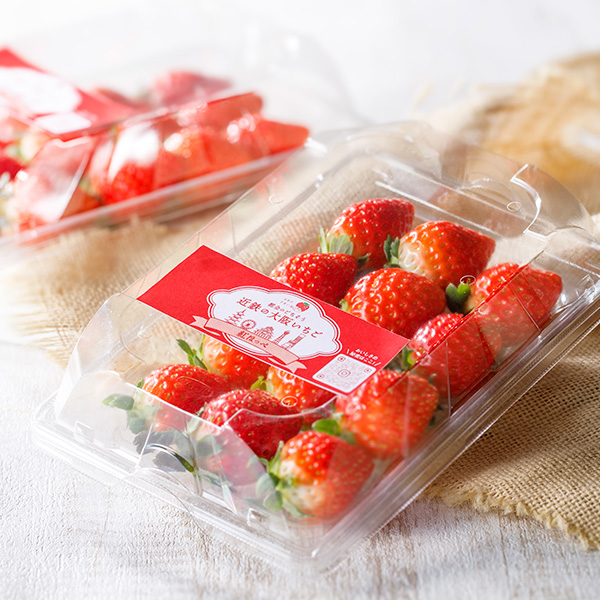 ��̓� �y5��10��(��)������z�q�͂邩���܂���r�u��ア�����A��̓��ɂ�����܂��܂��B�v�Z�b�g