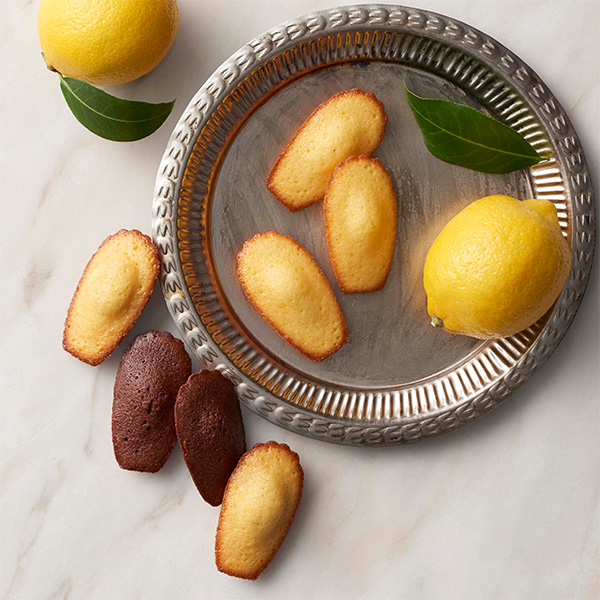 �q���B�^���[���r���C�����E�}�h���[�k