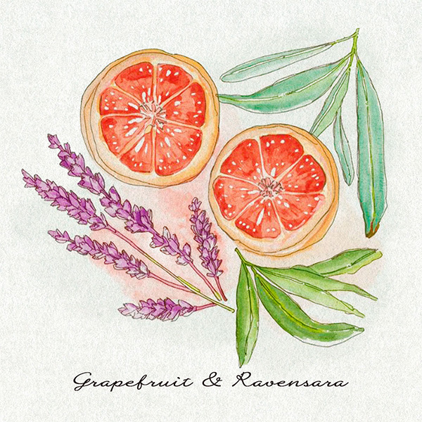 �qSAVON de SIESTA/�T�{���E�f�E�V�G�X�^�r�O���[�v�t���[�c�ƃ��x���T���� �Ό�