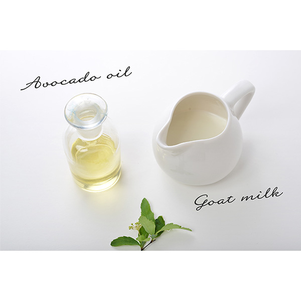 �qSAVON de SIESTA/�T�{���E�f�E�V�G�X�^�r�€�̃~���N�Ό�