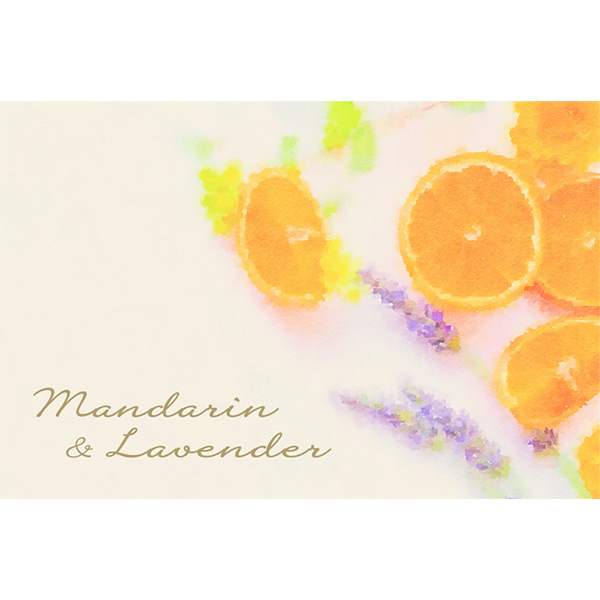 �qSAVON de SIESTA/�T�{���E�f�E�V�G�X�^�r�V���N�� ���}���_���������x���_�[��