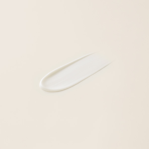 �qFATUITE/�t�@�`���C�e�r�p�[�t�F�N�g�v���[�tUV�f�B�t�F���X