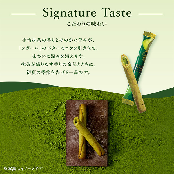 �q���b�N���b�N�r �V�K�[�� �I�D �}�b�`��