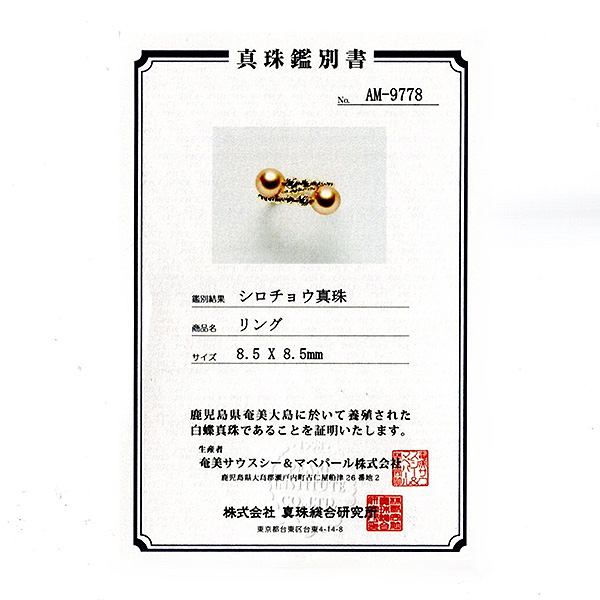�q�Ŋ㍁�rK18�S�[���f���p�[�������O