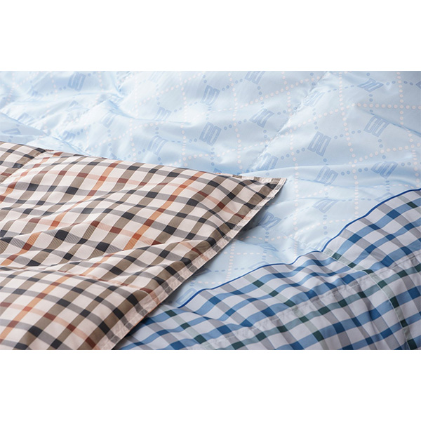 �qDAKS/�_�b�N�X�rDD Argyle�@�H�є��|�ӂƂ�@�u���[