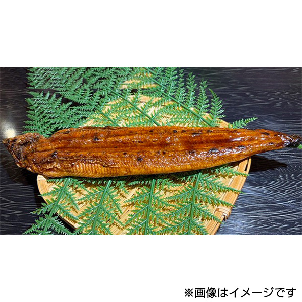 ��{���X�y7��26��(��) �ߌ�2���`�ߌ�6�����n���z�q���q�r���Ȃ����āi���n���ꏊ�F�n��1�K ����� ���݉��j
